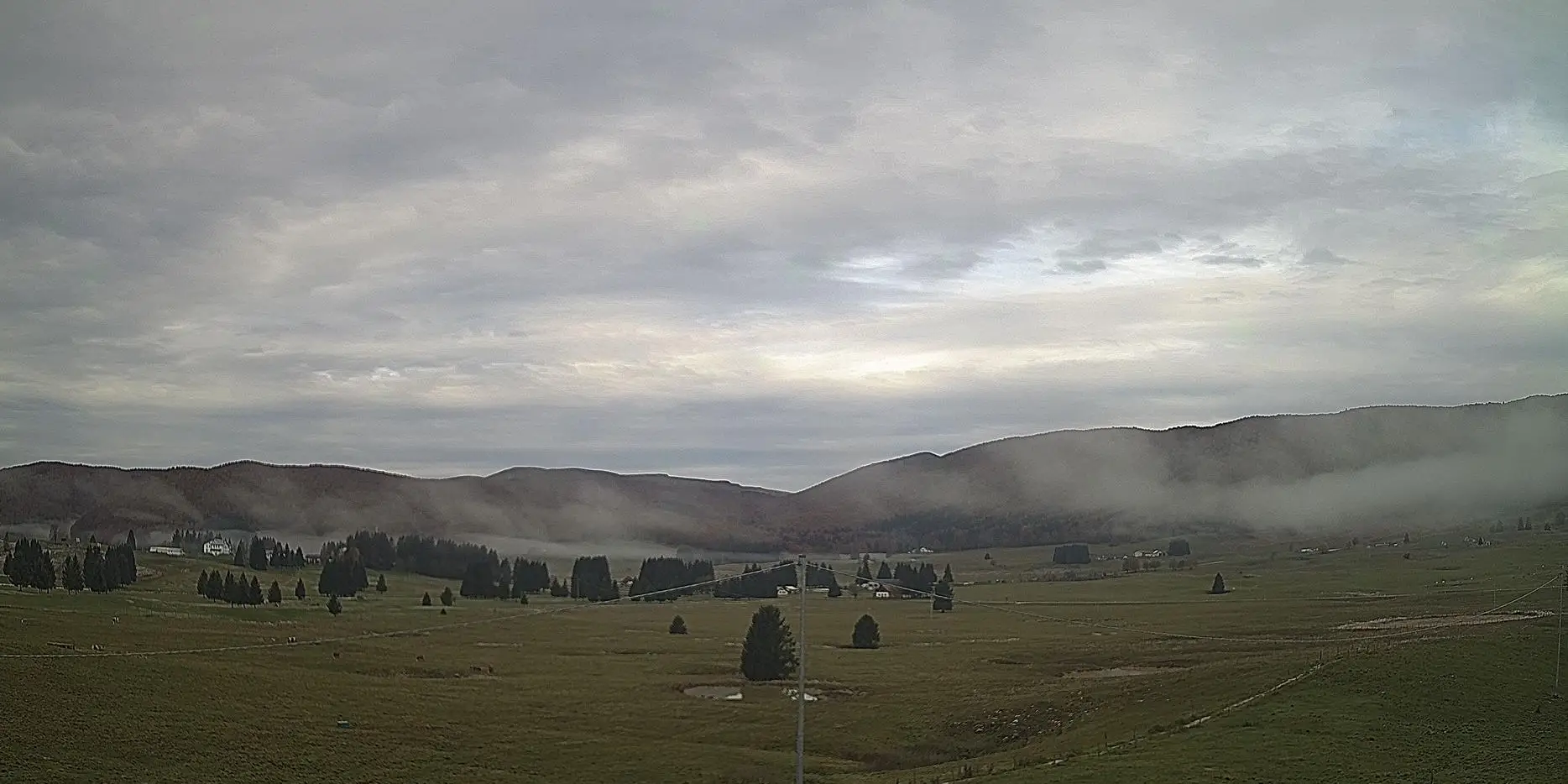 Webcam Pian del Cansiglio Veneto in diretta