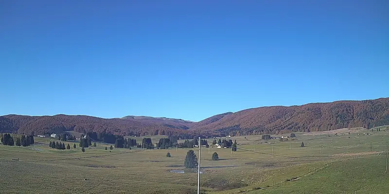 Webcam TLAPSE Pian del Cansiglio