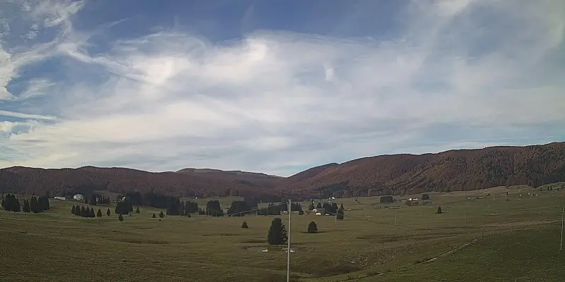 Webcam TLAPSE Pian del Cansiglio