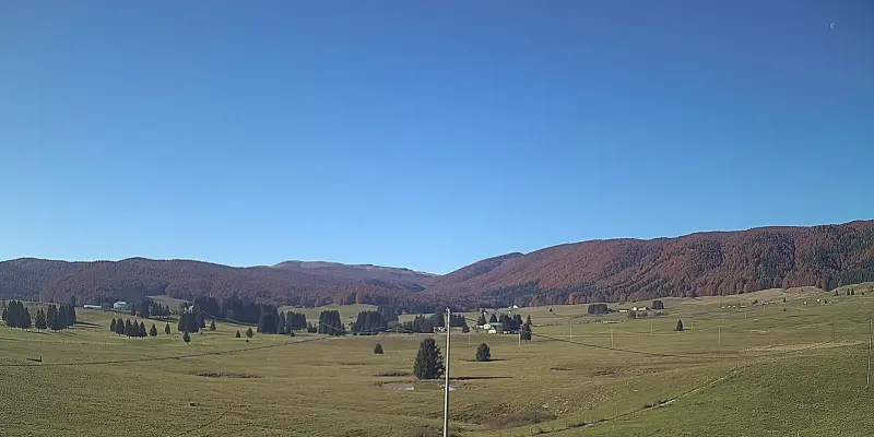 Webcam TLAPSE Pian del Cansiglio