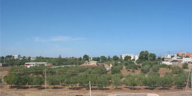 Webcam TLAPSE Mola di Bari