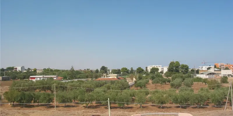Webcam TLAPSE Mola di Bari