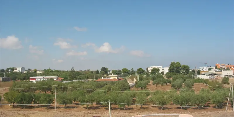 Webcam TLAPSE Mola di Bari