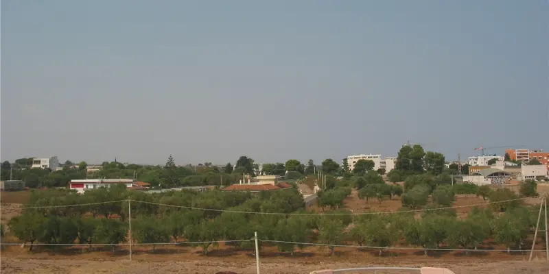 Webcam TLAPSE Mola di Bari