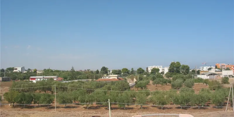 Webcam TLAPSE Mola di Bari