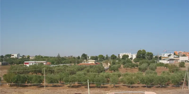 Webcam TLAPSE Mola di Bari