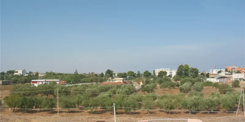 Webcam TLAPSE Mola di Bari