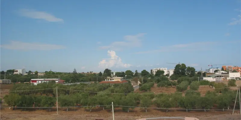 Webcam TLAPSE Mola di Bari
