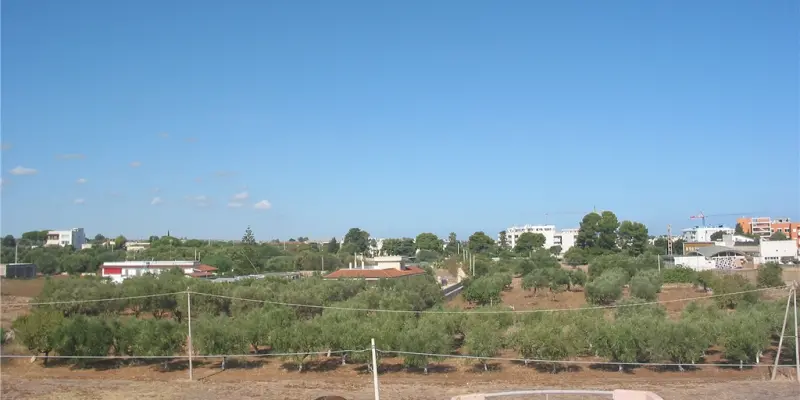 Webcam TLAPSE Mola di Bari
