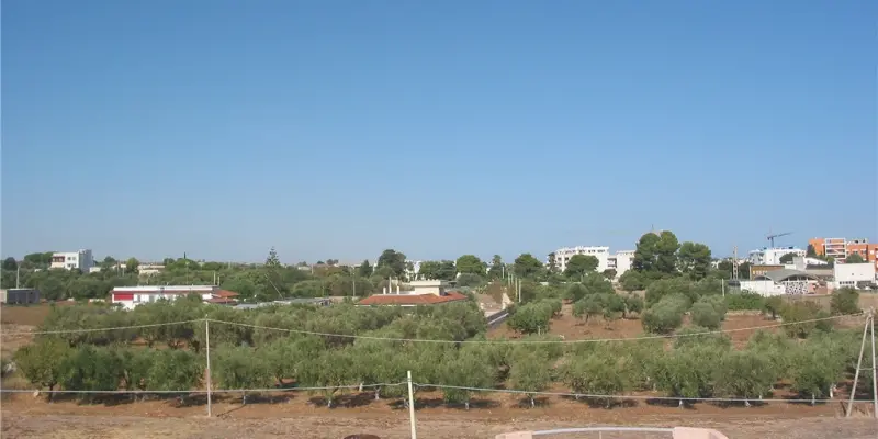 Webcam TLAPSE Mola di Bari