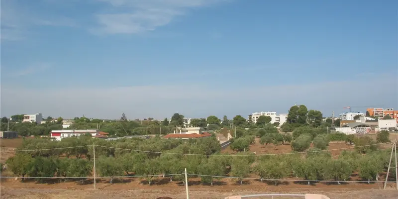 Webcam TLAPSE Mola di Bari