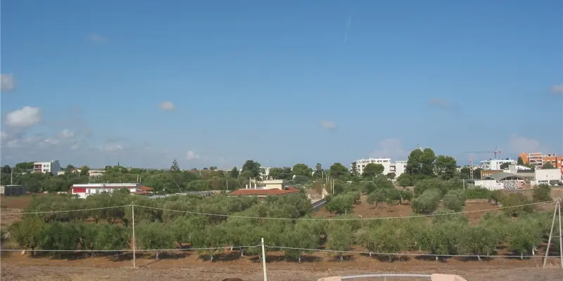 Webcam TLAPSE Mola di Bari