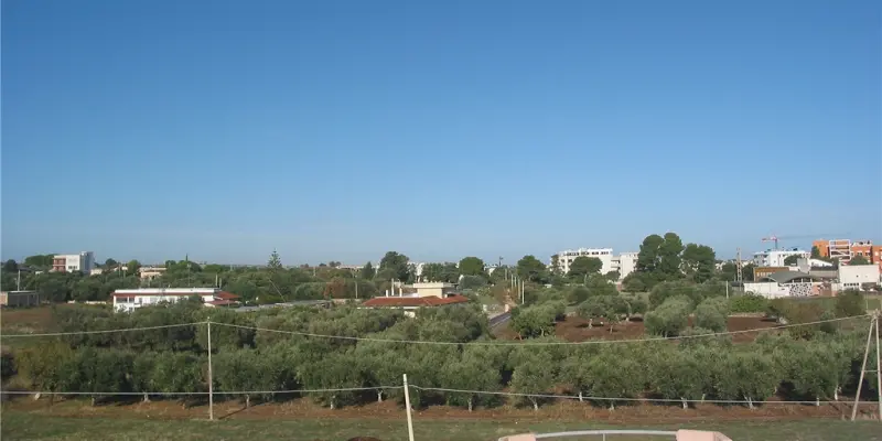Webcam TLAPSE Mola di Bari