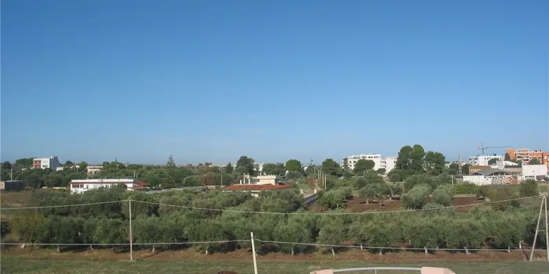 Webcam TLAPSE Mola di Bari