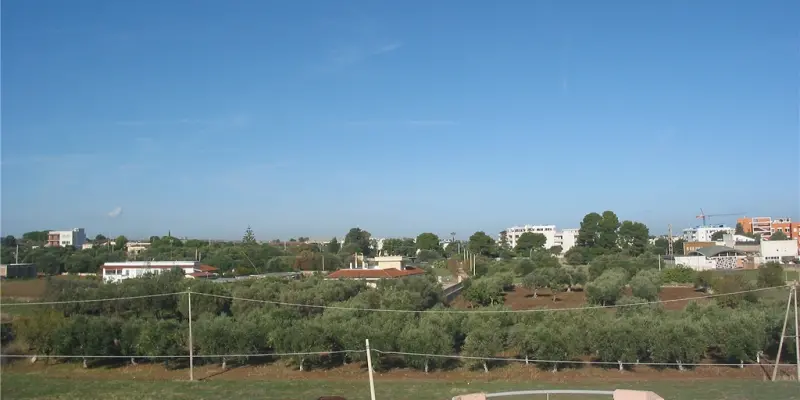 Webcam TLAPSE Mola di Bari
