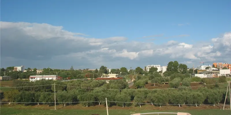 Webcam TLAPSE Mola di Bari