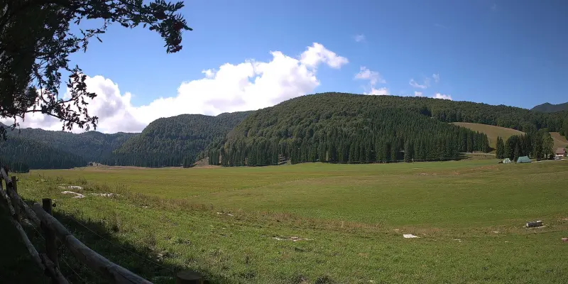 Webcam TLAPSE Pian del Cansiglio 2