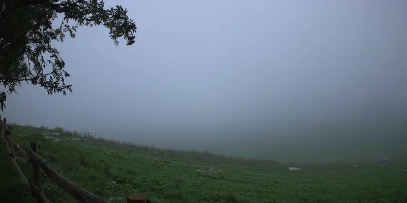 Webcam TLAPSE Pian del Cansiglio 2