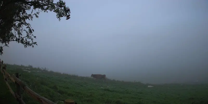Webcam TLAPSE Pian del Cansiglio 2