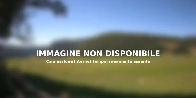 Webcam TLAPSE Pian del Cansiglio 2
