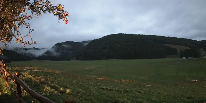 Webcam TLAPSE Pian del Cansiglio 2