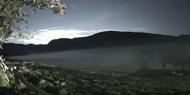Webcam TLAPSE Pian del Cansiglio 2