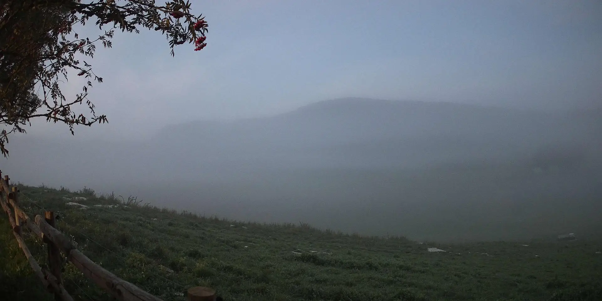 Webcam Pian del Cansiglio 2 Veneto in diretta