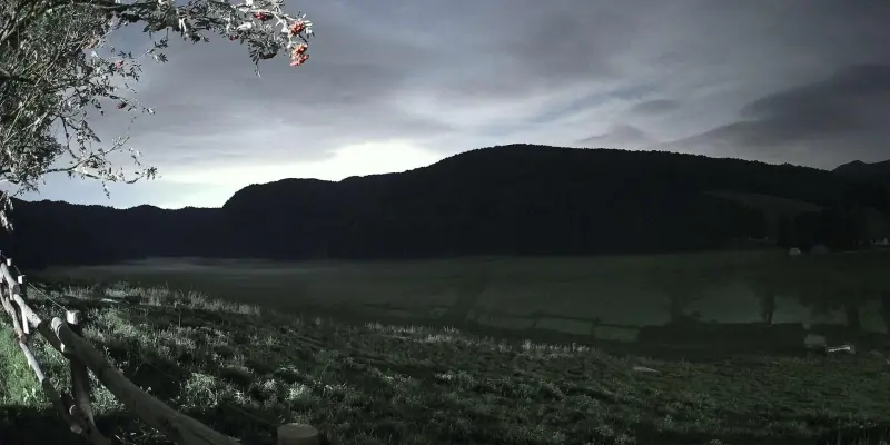 Webcam TLAPSE Pian del Cansiglio 2