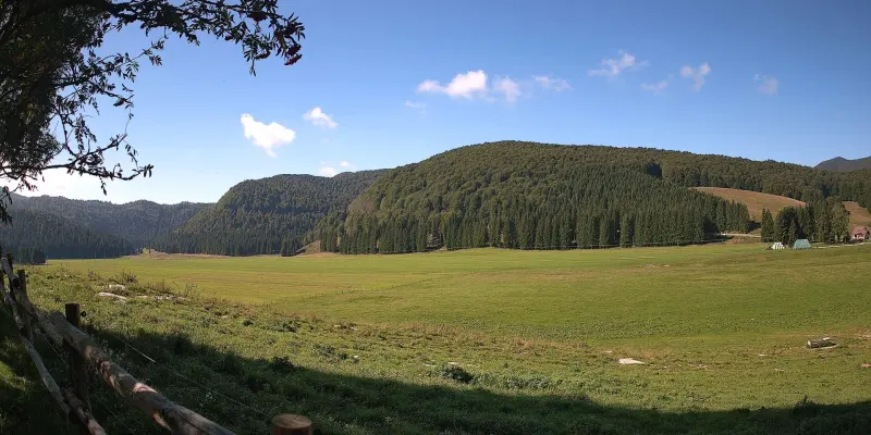 Webcam TLAPSE Pian del Cansiglio 2