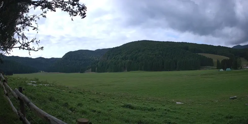 Webcam TLAPSE Pian del Cansiglio 2