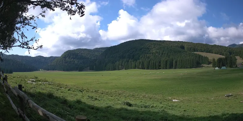 Webcam TLAPSE Pian del Cansiglio 2