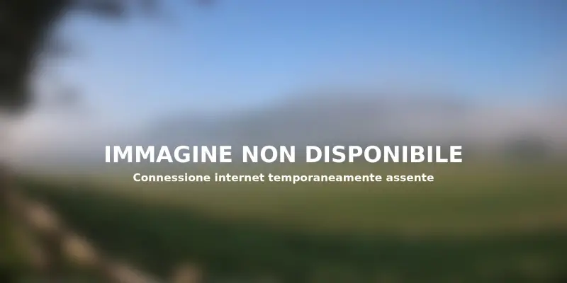 Webcam TLAPSE Pian del Cansiglio 2