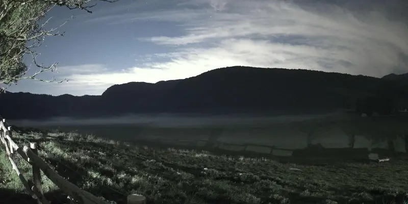 Webcam TLAPSE Pian del Cansiglio 2