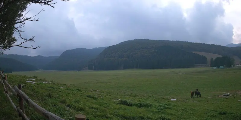 Webcam TLAPSE Pian del Cansiglio 2