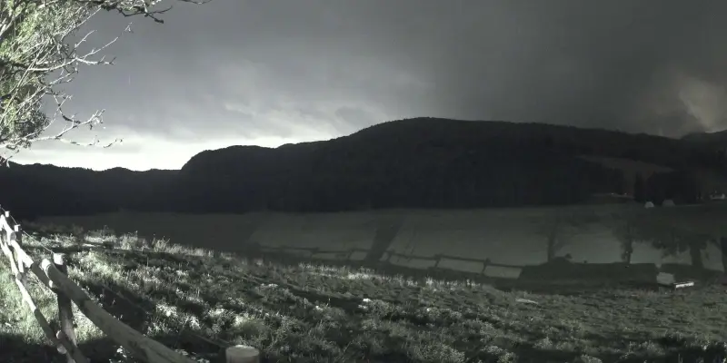Webcam TLAPSE Pian del Cansiglio 2