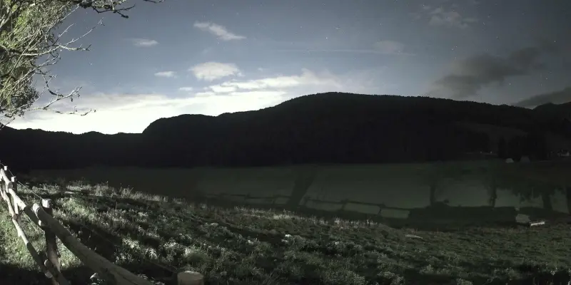 Webcam TLAPSE Pian del Cansiglio 2