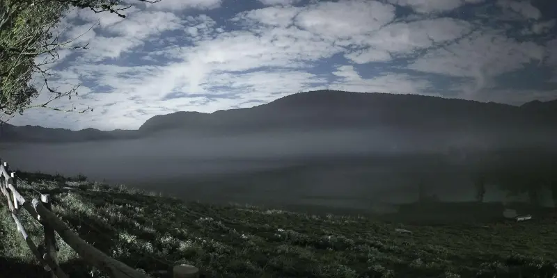 Webcam TLAPSE Pian del Cansiglio 2
