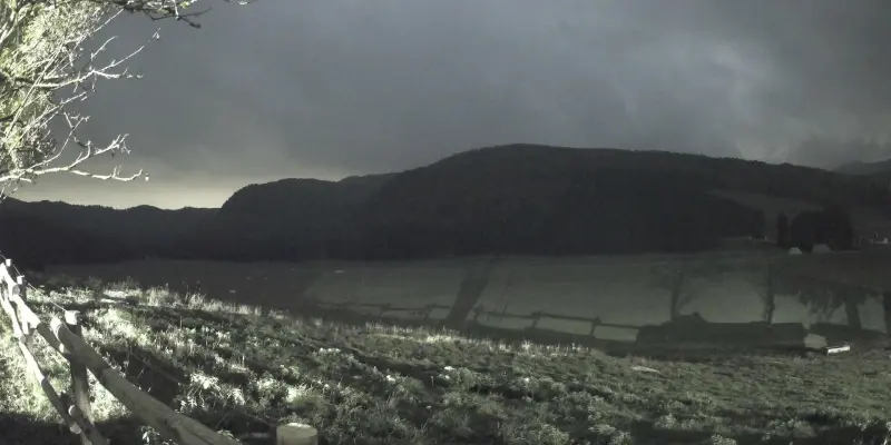 Webcam TLAPSE Pian del Cansiglio 2