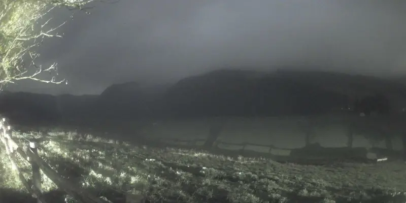 Webcam TLAPSE Pian del Cansiglio 2