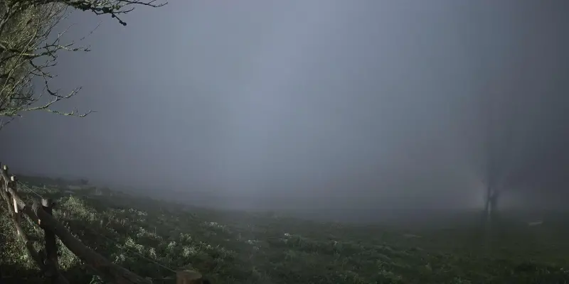 Webcam TLAPSE Pian del Cansiglio 2