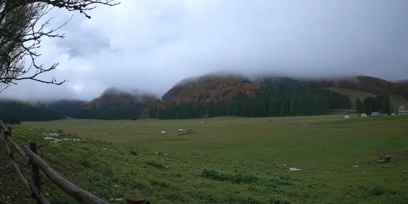 Webcam TLAPSE Pian del Cansiglio 2