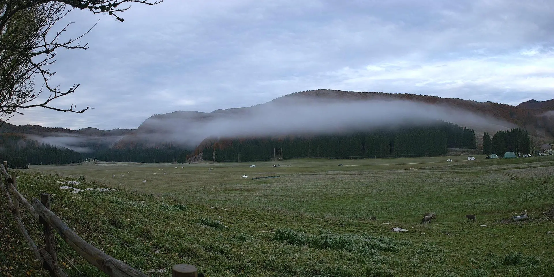 Webcam Pian del Cansiglio 2 Veneto in diretta