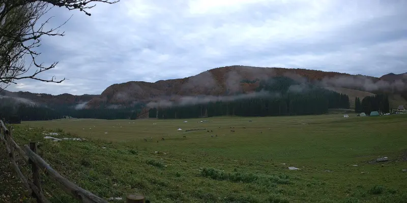 Webcam TLAPSE Pian del Cansiglio 2