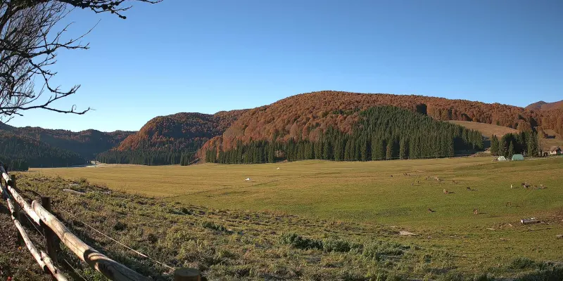 Webcam TLAPSE Pian del Cansiglio 2
