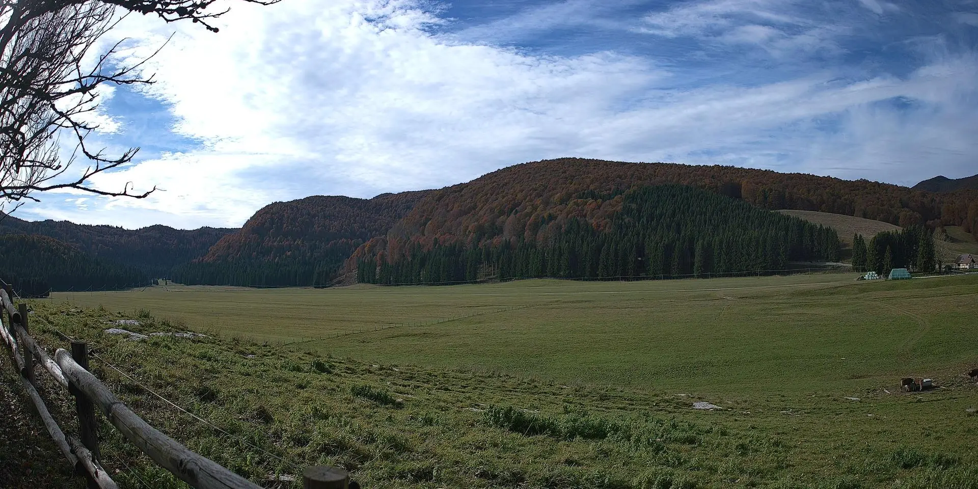 Webcam Pian del Cansiglio 2 Veneto in diretta