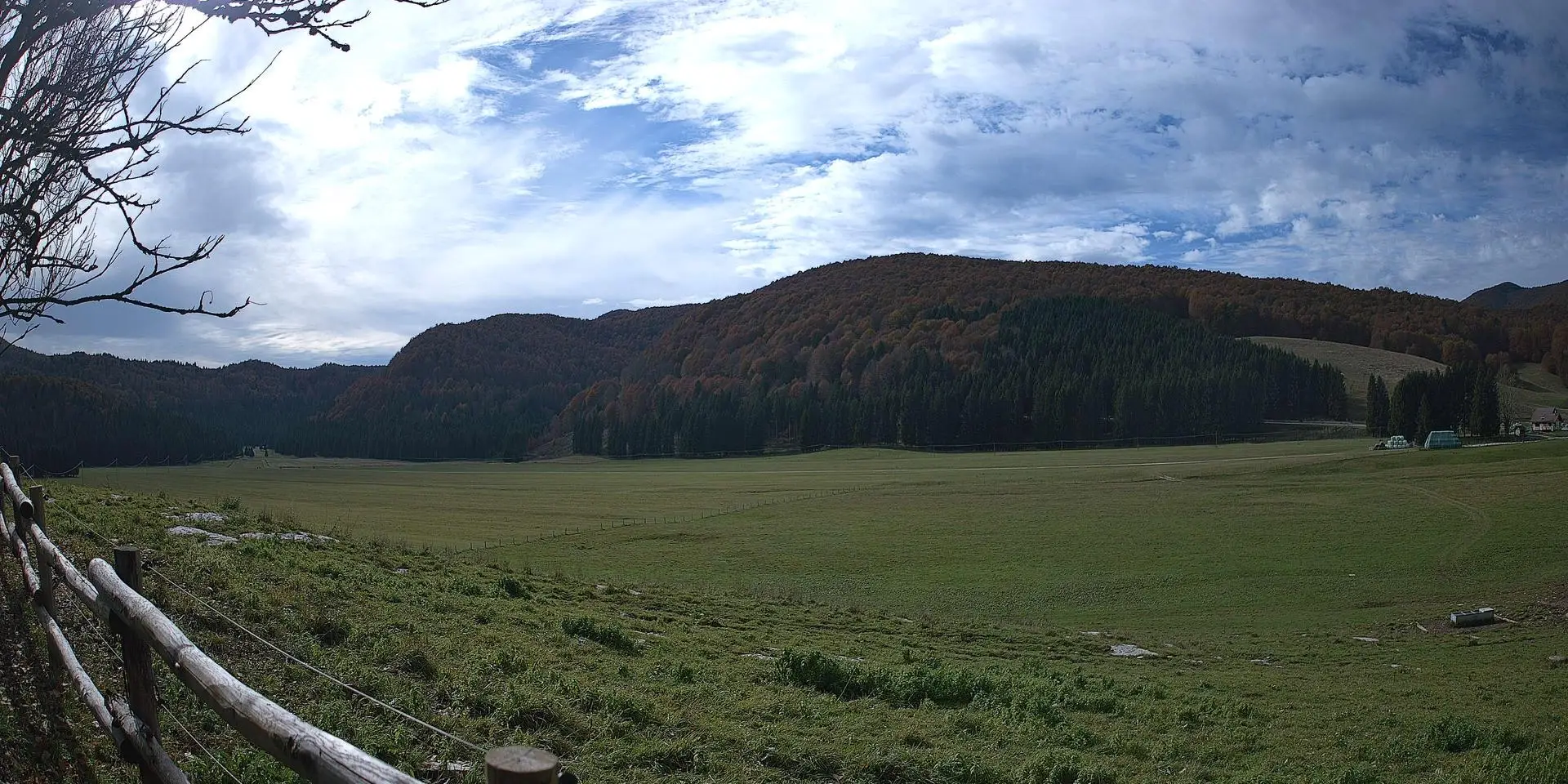 Webcam Pian del Cansiglio 2 Veneto in diretta