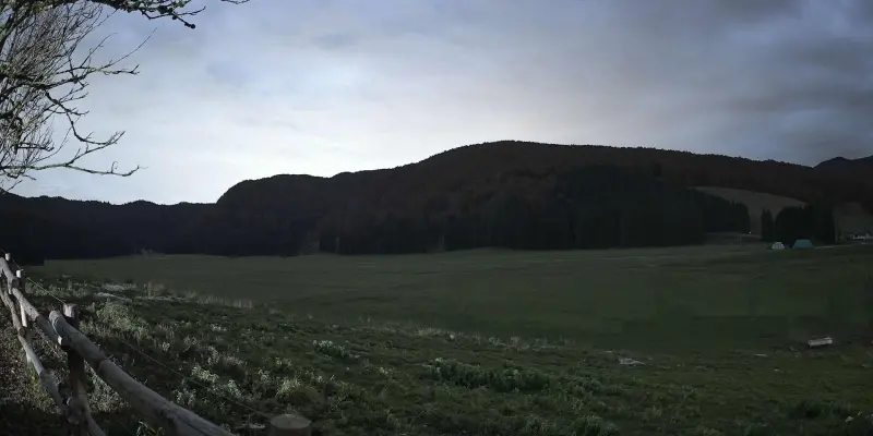 Webcam TLAPSE Pian del Cansiglio 2