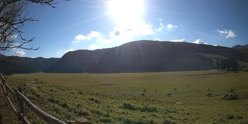 Webcam TLAPSE Pian del Cansiglio 2