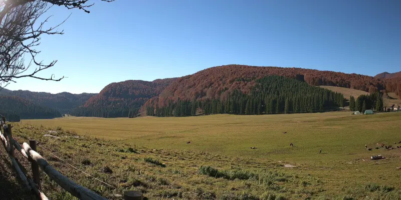 Webcam TLAPSE Pian del Cansiglio 2