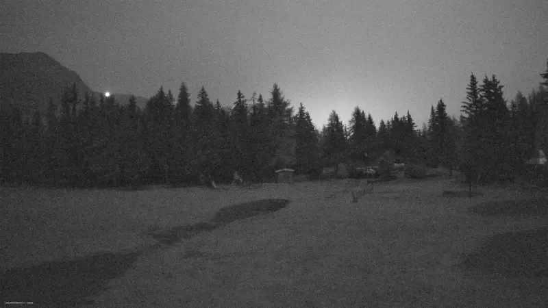 Webcam TLAPSE Torgnon – Sci Nordico – Plan Prorion